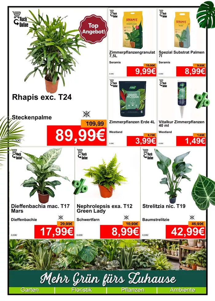 Grünpflanze - Din A4 Beilage - 1x1174 + 3 x 779 + 4x587 - 1.jpg