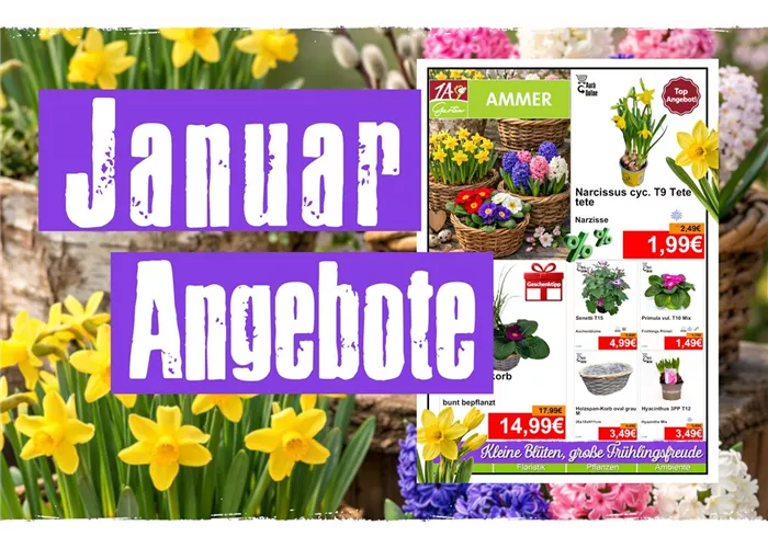 Jetzt unsere Januar Angebote entdecken! 🌺