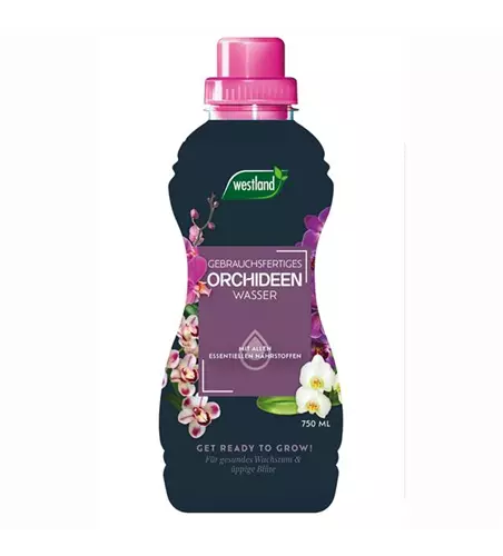Orchideen Wasser