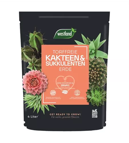 Kakteen Sukkulenten Erde