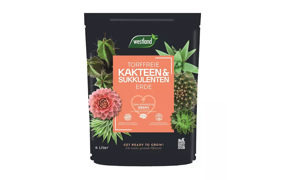 Kakteen Sukkulenten Erde