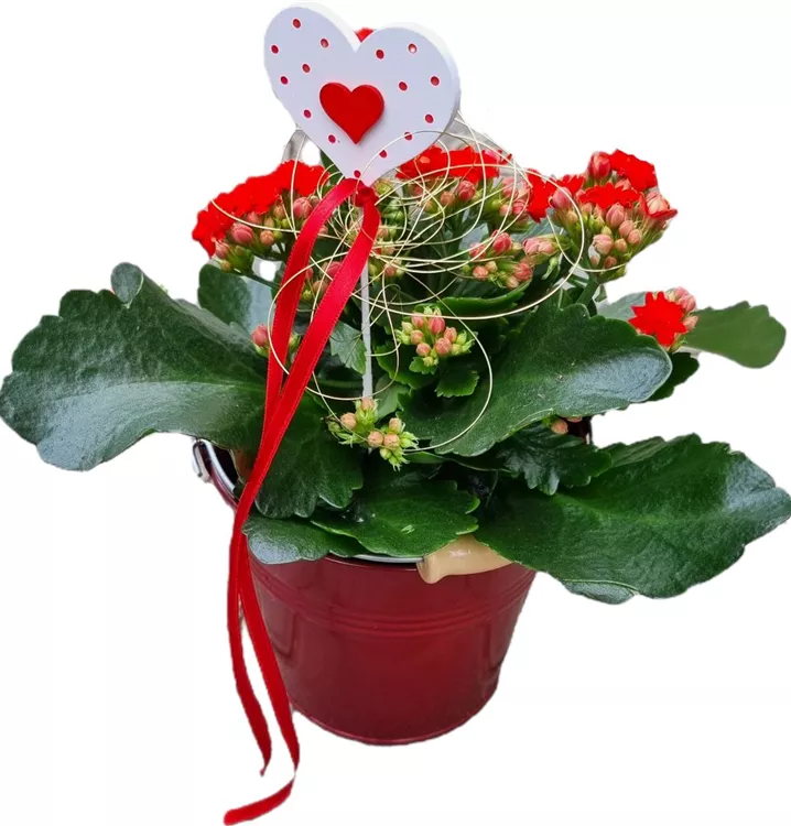 1A Arrangement Valentinstag