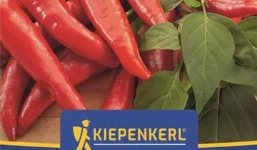 1A Garten Ammer