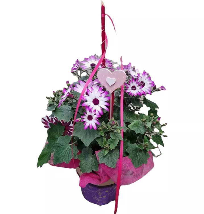 1A Arrangement Valentinstag