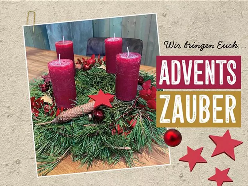 ⭐Verkaufsoffener Sonntag - Martinimarkt⭐