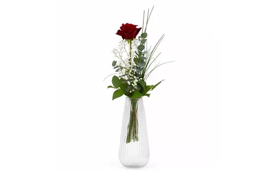 Rose Rot 1 Stück gebunden mit Beiwerk