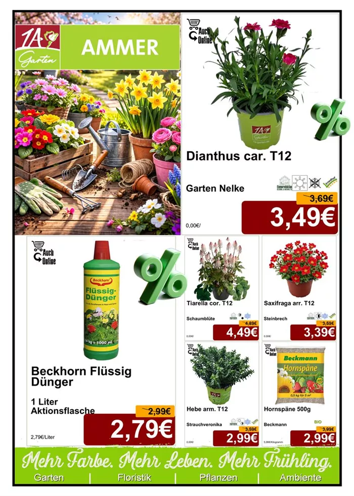 Saisonpflanze 1 - Din A4 Beilage - Titelseite 2 - 1 x 1138px + 1 x 1081 + 4x 538px. - 1.jpg