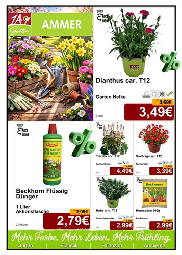 Unsere Aktuelle Monats-Aktion gültig im März