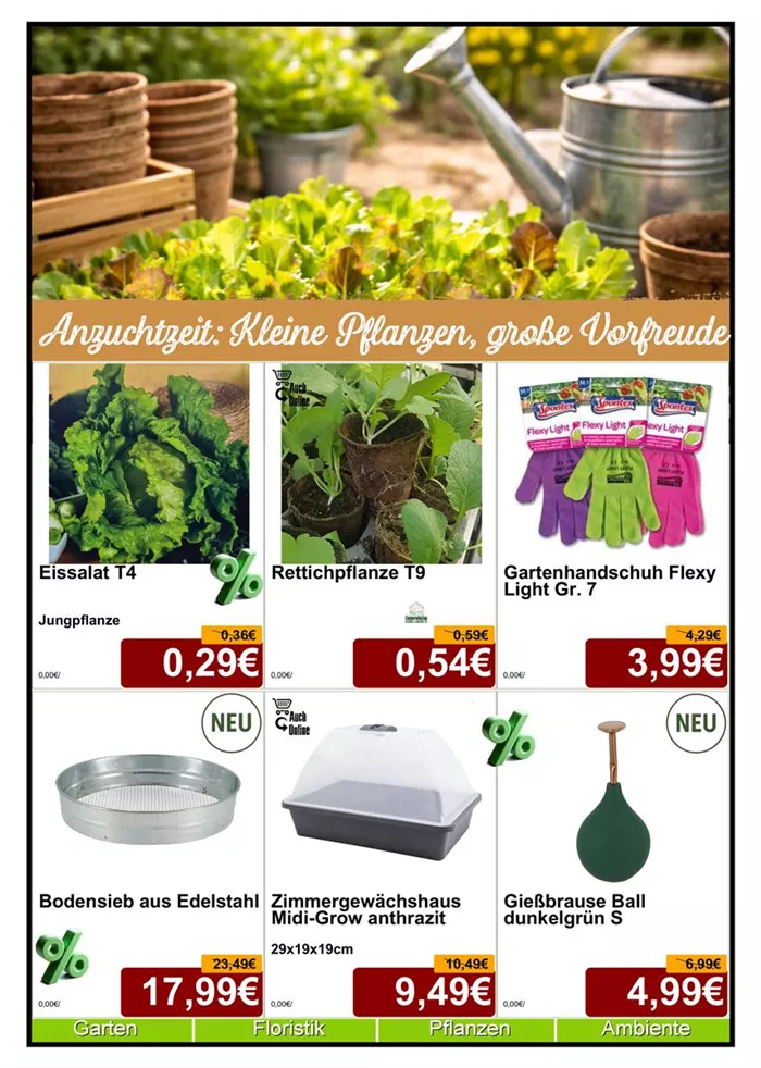 Salat Anzucht - Din A4 Beilage - 6 x 779px - 1.jpg