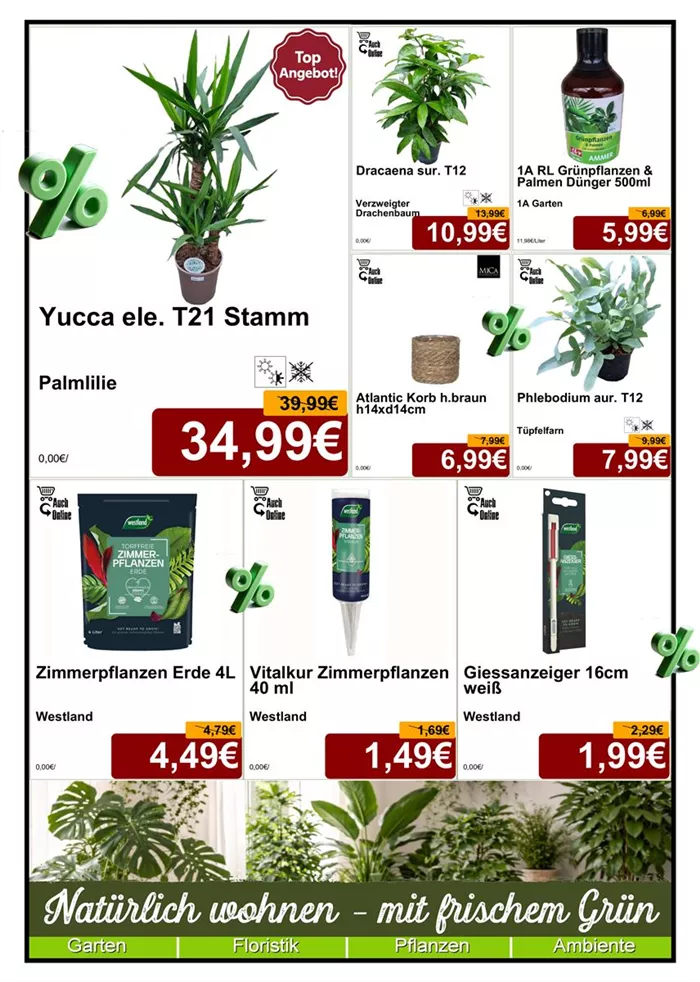 Zimmerpflanzen - Din A4 Beilage - 1x1174 + 3 x 779 + 4x587 - 1.jpg