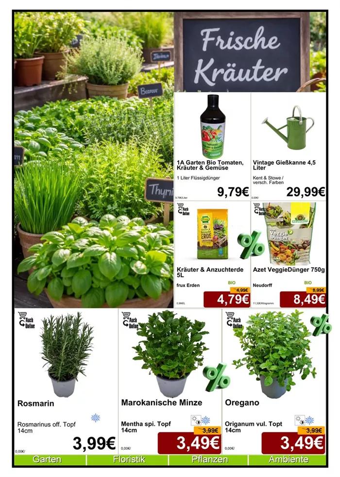 Kräuter 4-26 - Din A4 Beilage - 4 x 572px + 3x 779px - 1.jpg