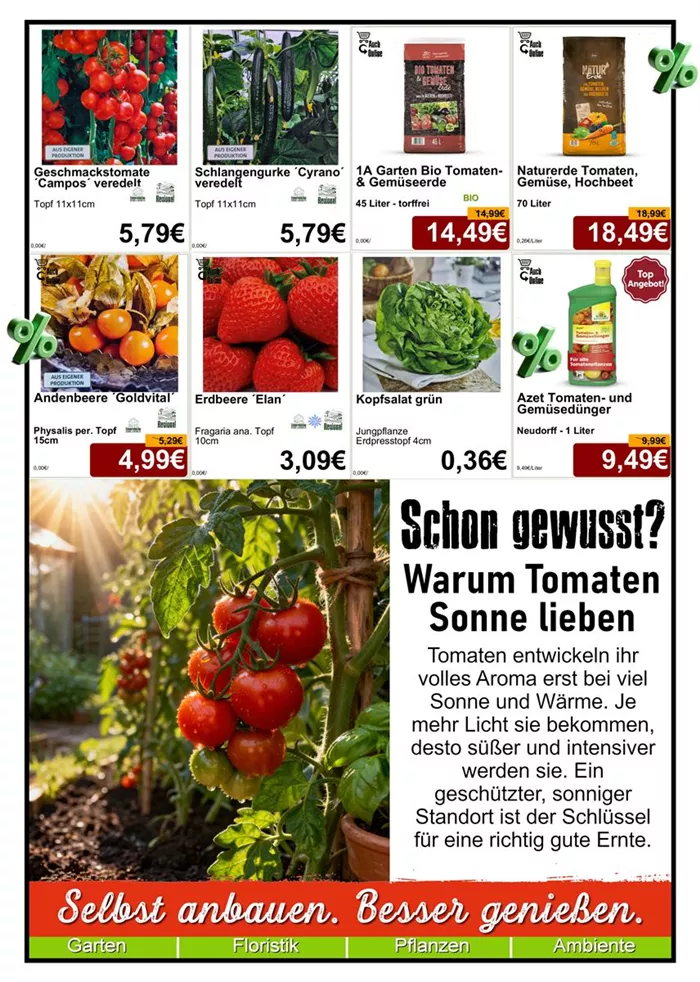 Gemüse 4-26 - Din A4 Beilage - 8x587 + Schon gewusst Text - 1.jpg