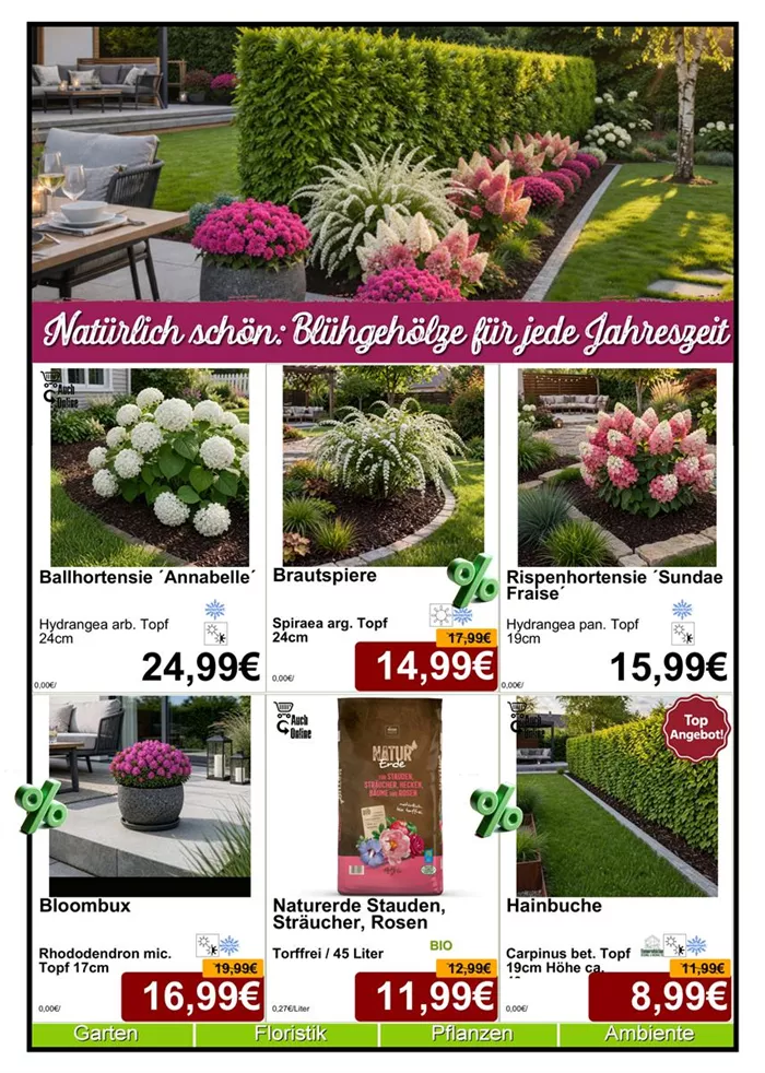 Baumschule 4-2026 - Din A4 Beilage - 6 x 779px - 1.jpg