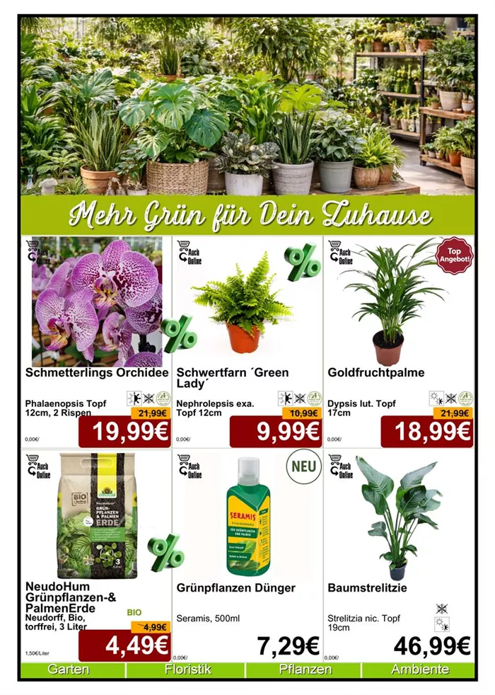 Zimmerpflanze 4-2026 - Din A4 Beilage - 6 x 779px - 1.jpg