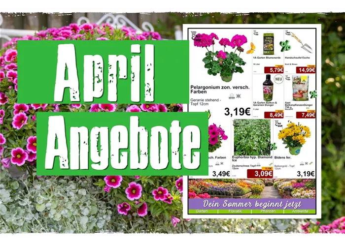Jetzt unsere April Angebote entdecken! 🌸