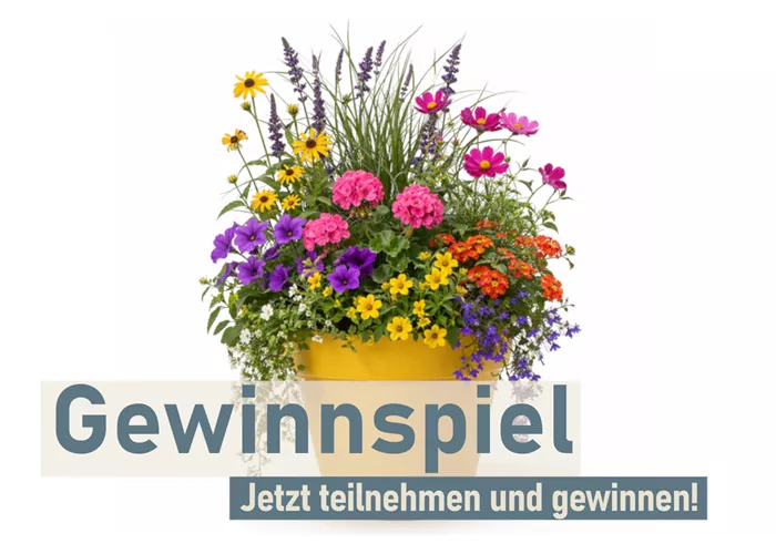 Gewinne deinen bunten Sommertopf! 🌼 