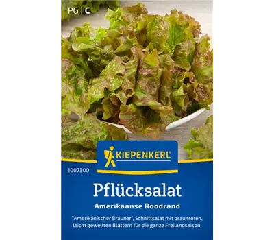 Pflücksalat Amerikanischer brauner