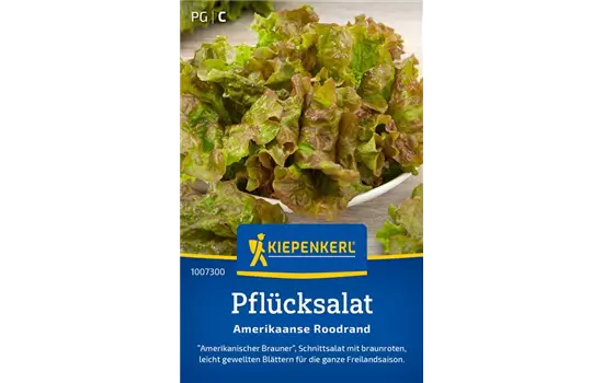 Pflücksalat Amerikanischer brauner