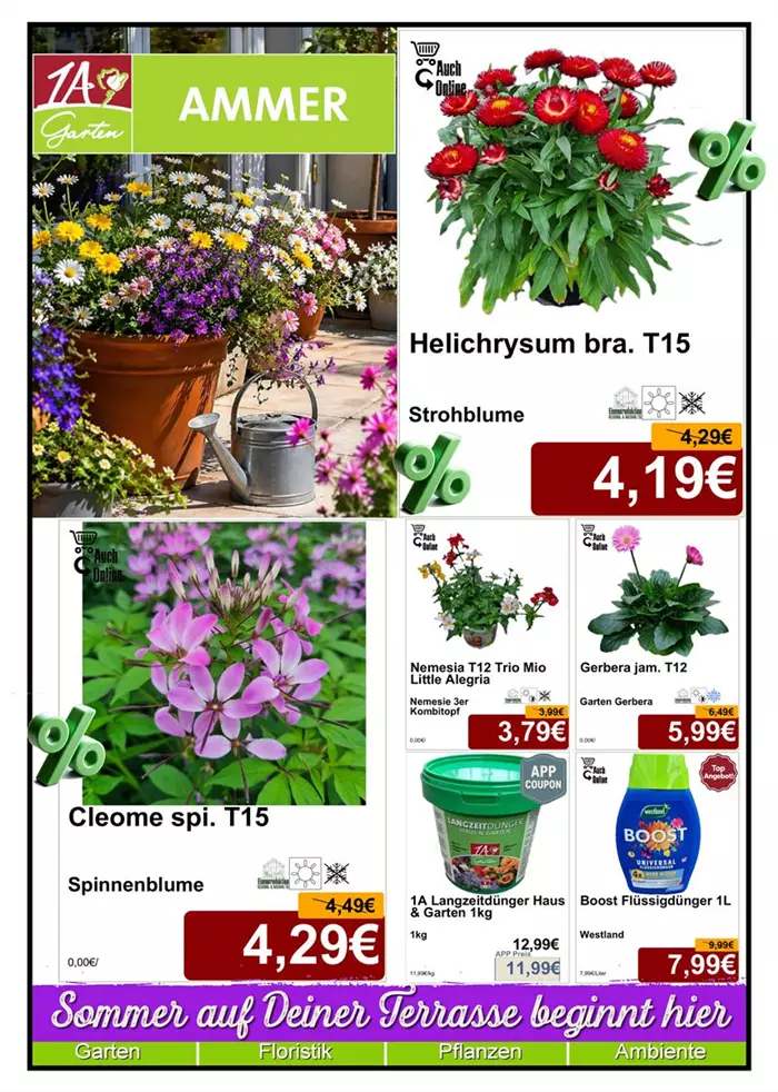 Saisonpflanze 05-26 - Din A4 Beilage - Titelseite 2 - 1 x 1138px + 1 x 1081 + 4x 538px. - 1.jpg