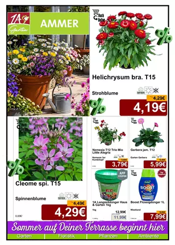 Unsere Aktuelle Monats-Aktion gültig im Mai