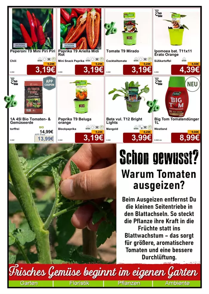 Gemüse 05-26 - Din A4 Beilage - 8x587 + Schon gewusst Text - 1.jpg