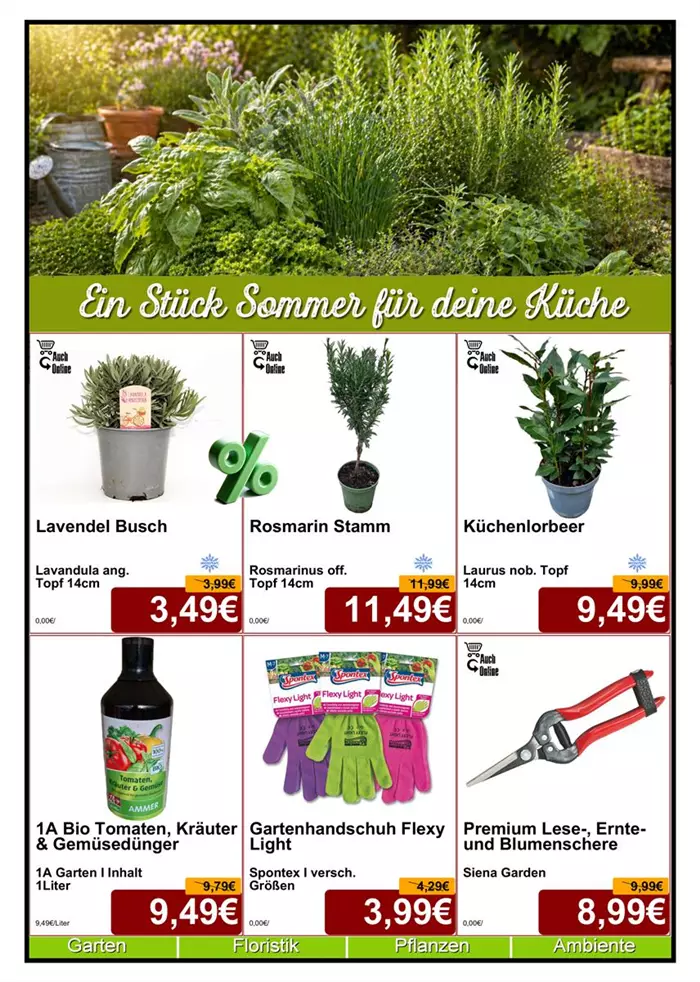 Kräuter 05-26 - Din A4 Beilage - 6 x 779px - 1.jpg