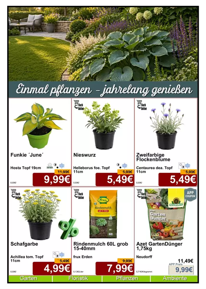 Stauden 05-26 - Din A4 Beilage - 6 x 779px - 1.jpg