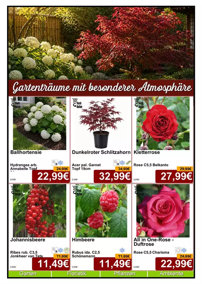 Baumschule 05-26 - Din A4 Beilage - 6 x 779px - 1.jpg
