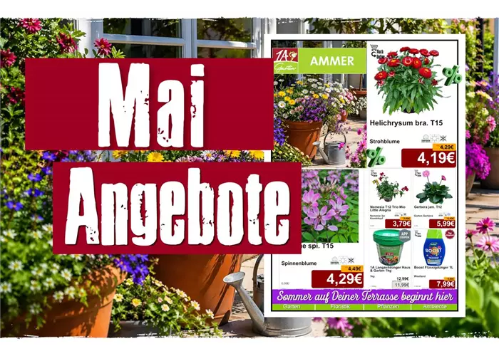 Jetzt unsere Mai Angebote entdecken! 🌸
