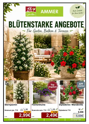 Unsere Aktuelle Monats-Aktion gültig im Juni