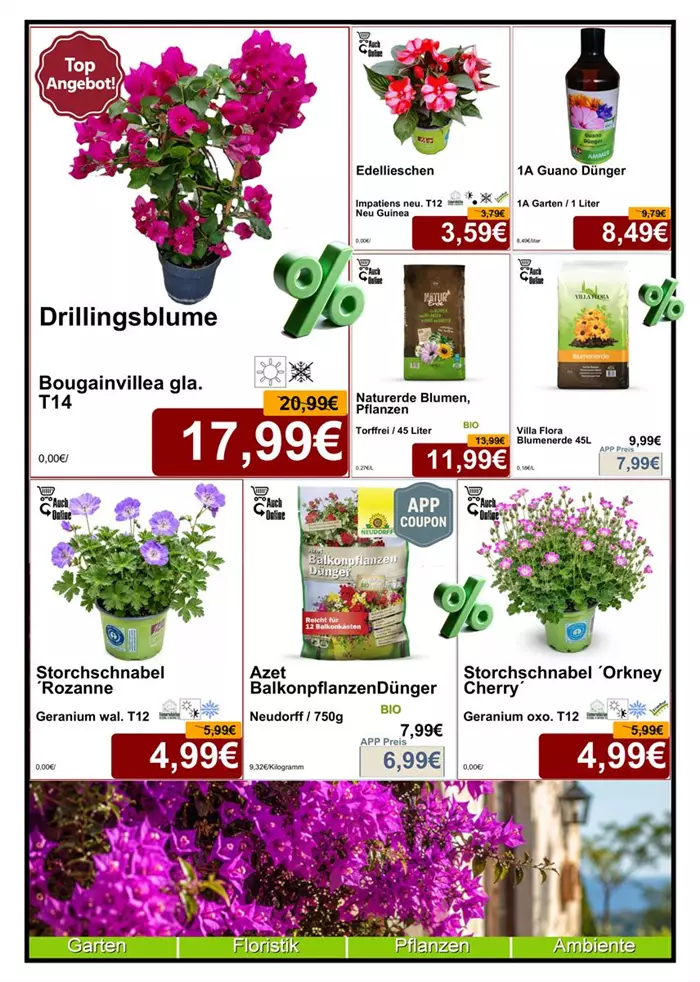 Seite 2 Juni 26 - Saison - Layout - Din A4 Beilage - 1x1174 + 3 x 779 + 4x587 - 1.jpg