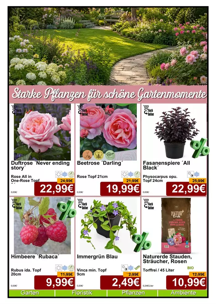 Seite 3 Juni 26 - Baumschule Stauden - Layout - Din A4 Beilage - 6 x 779px - 1.jpg