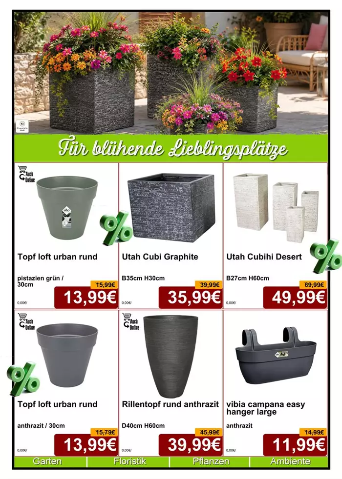 Seite 5 Juni 26 - Gefäße - Layout - Din A4 Beilage - 6 x 779px - 1.jpg