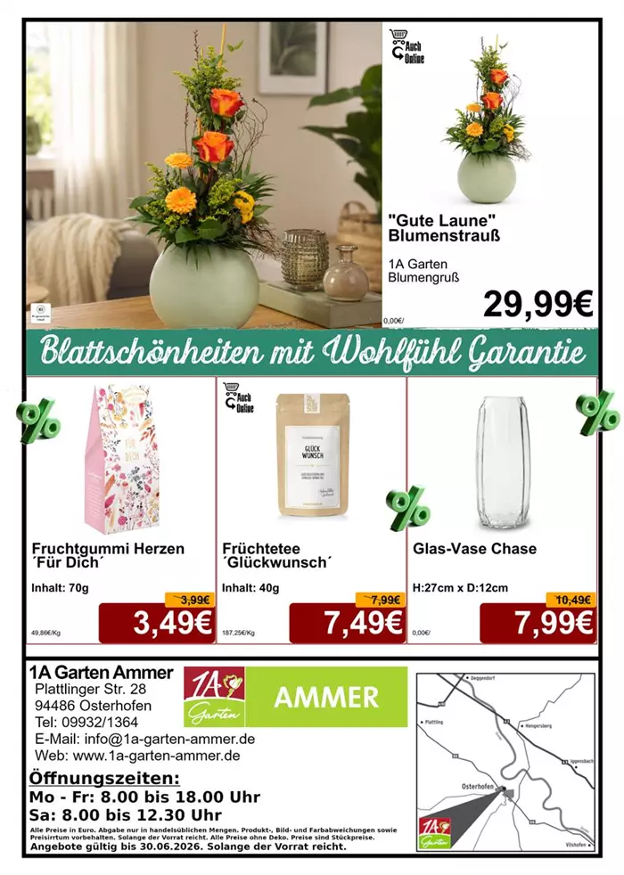 Seite 8 Juni 26 - Floristik - Layout - Din A4 Beilage - Letzte Seite - 1x885 + 3x779 - 1.jpg