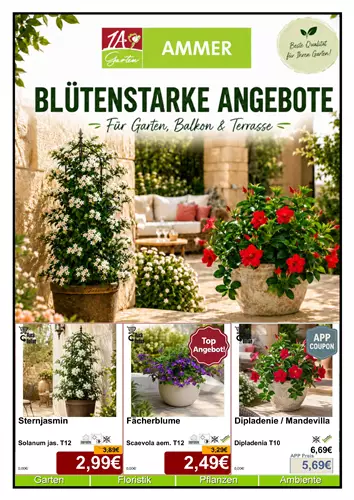 Unsere Aktuelle Monats-Aktion gültig im Juni