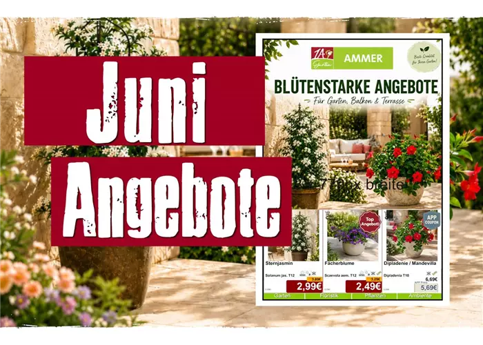 Jetzt unsere Juni Angebote entdecken! 🌸
