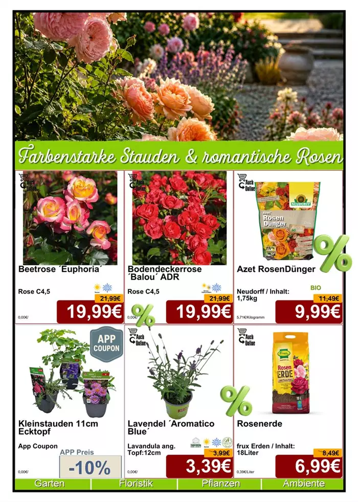 Seite 2 - Juli 26 - Rosen Stauden - Din A4 Beilage - 6 x 779px - 1.jpg