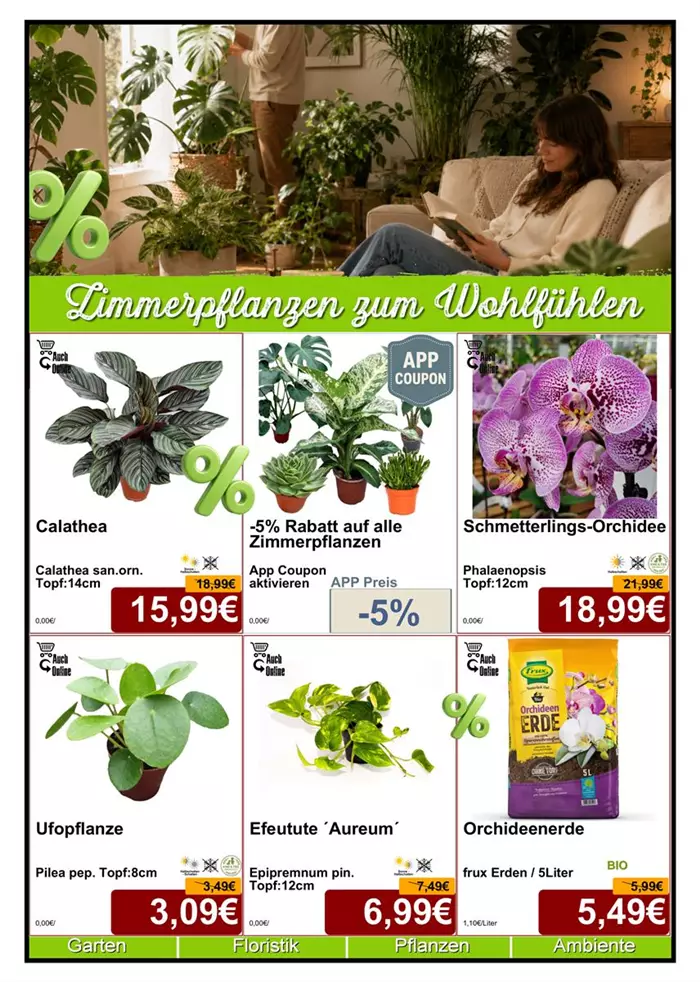 Seite 5 - Juli 26 - Zimmerpflanze - Din A4 Beilage - 6 x 779px - 1.jpg