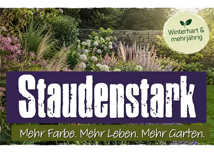 Jetzt unsere Juli Angebote entdecken! 🌸