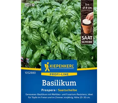 Basilikum Prospera Saatscheibe
