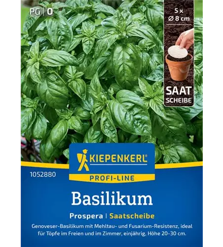 Basilikum Prospera Saatscheibe