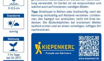 Bildvorschau