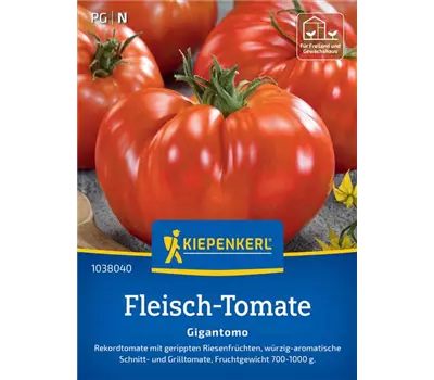 Fleisch-Tomate Gigantomo F1