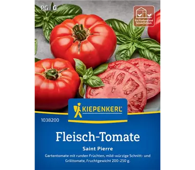 Fleisch-Tomaten Saint Pierre Standard