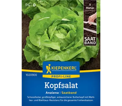 Kopfsalat Analena, Saatband