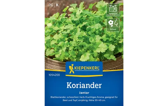 Koriander Jantar