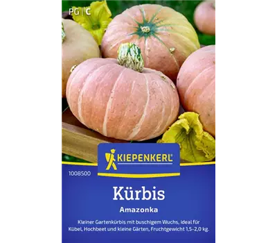 Kürbis Amazonka