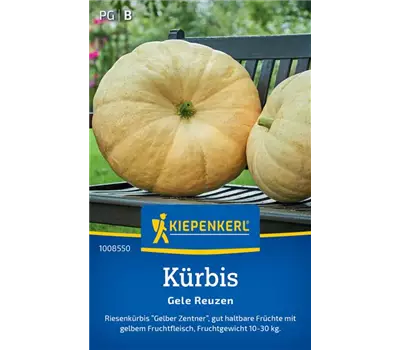 Kürbis Gele Reuzen