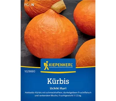 Kürbis Uchiki Kuri