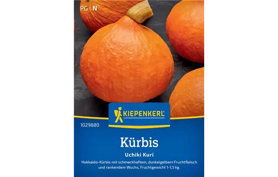 Kürbis Uchiki Kuri